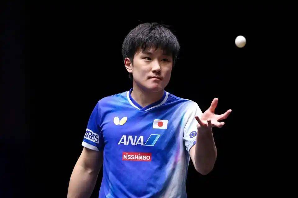 九游娱乐-波兰乒乓球队横扫奥地利乒乓球队，张本智和绝境逆转的简单介绍