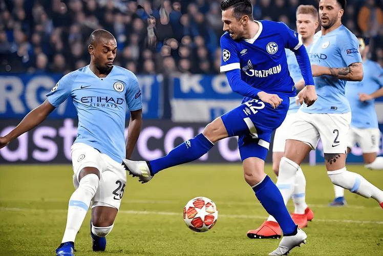 沙尔克客场艰难击败对手,实现两连胜 沙尔克客场艰难击败对手,实现两连胜