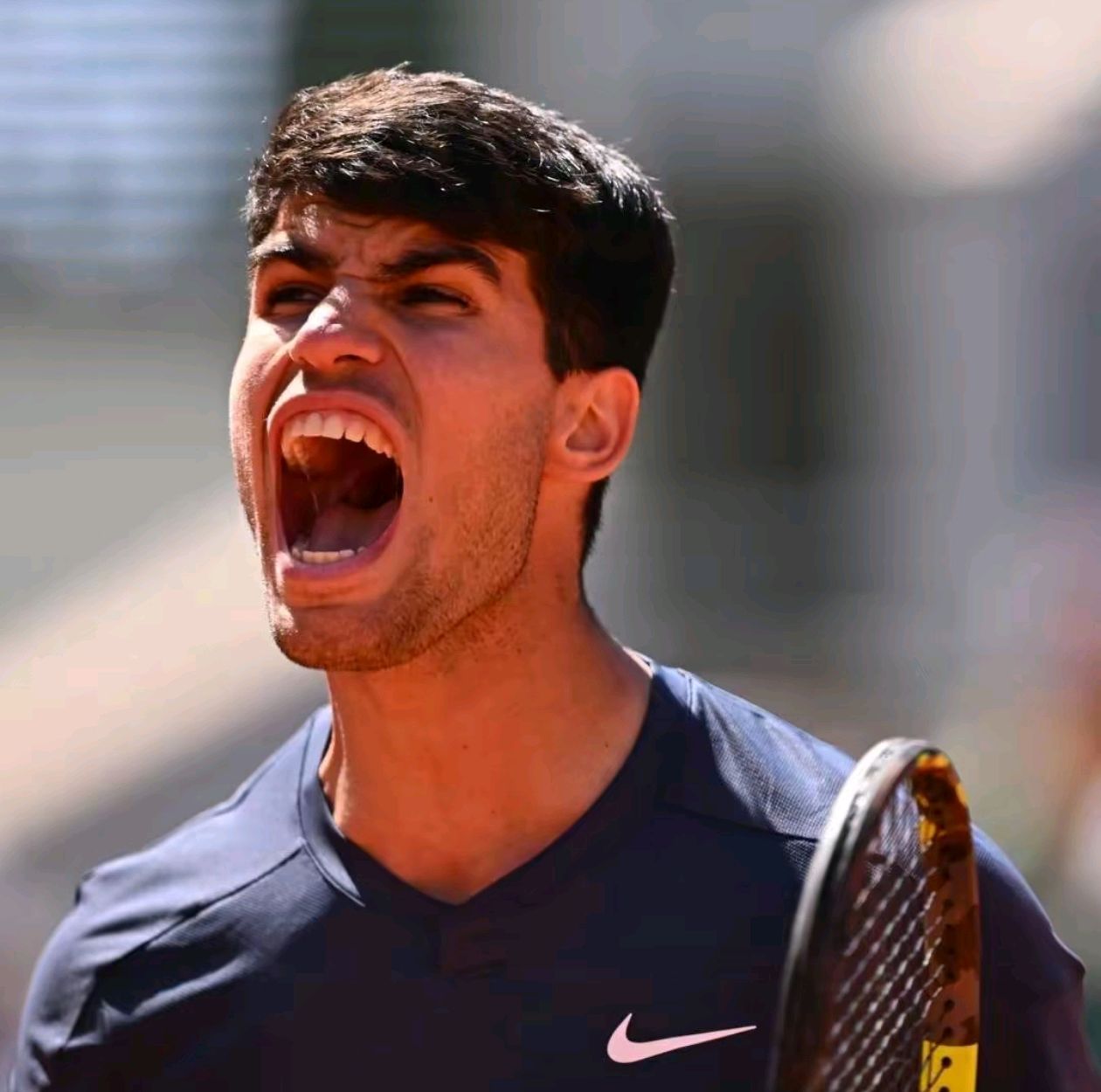 关于法网绝杀戴维斯杯，阿尔卡拉斯状态火热的信息